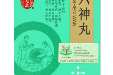 Sollin音乐聚合|全网无损音质免费下载神器8.27